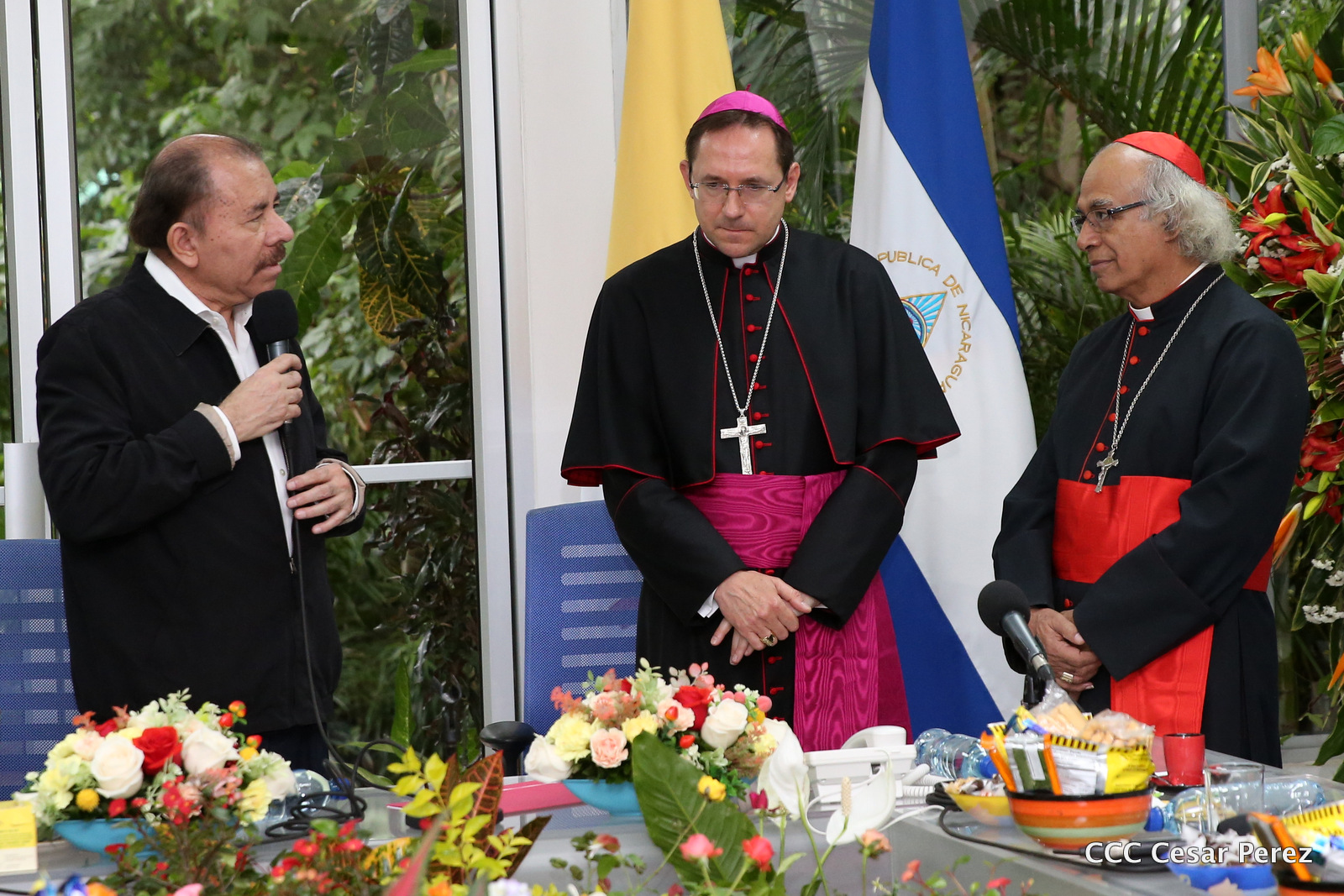 Nuncio1